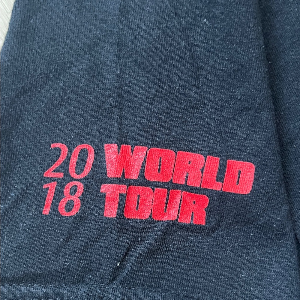 Men’s Faded Black Drake Scorpion 2018 World Tour Tee - Picture 3 of 5